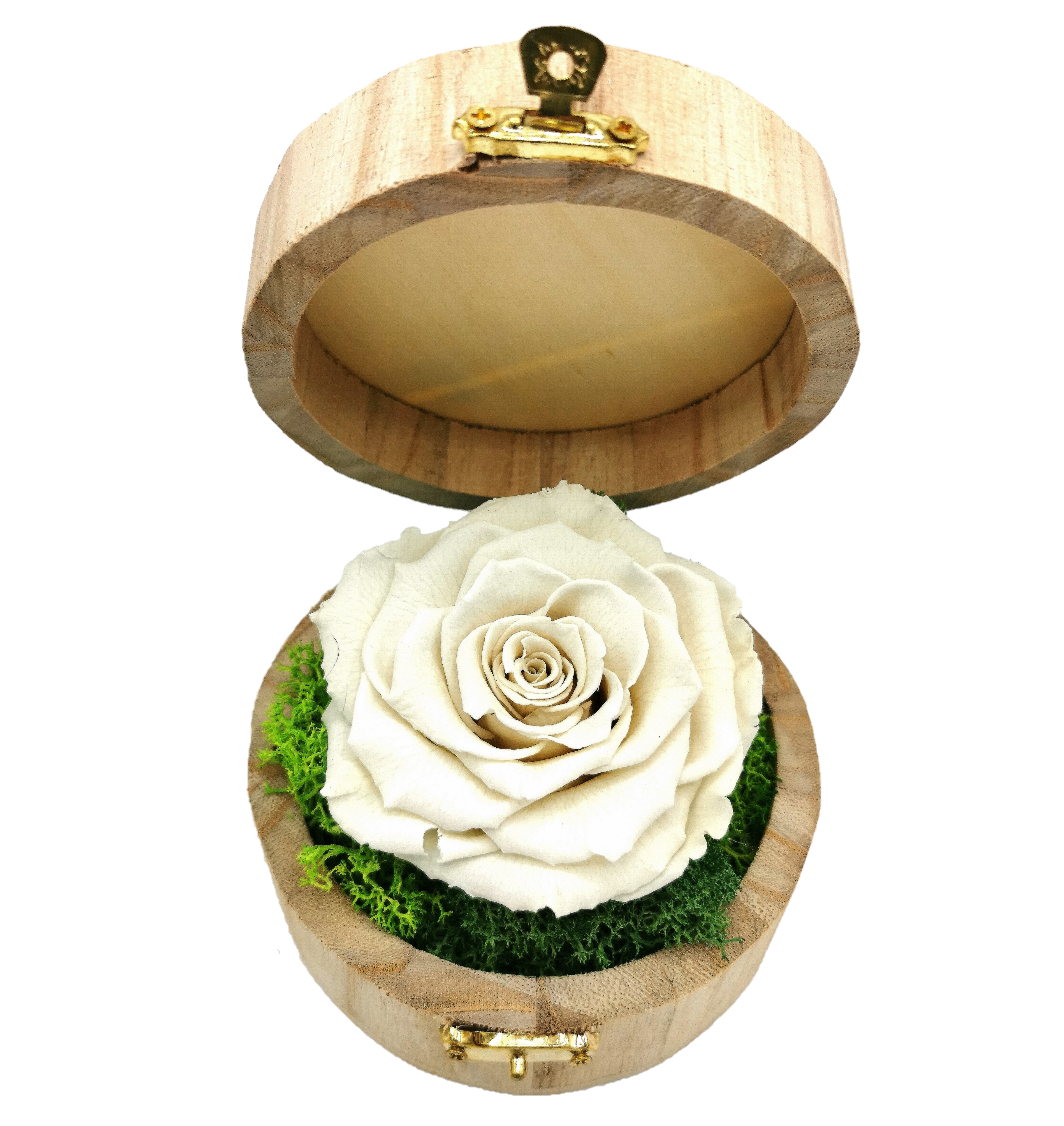 Trandafir criogenat Alb in cutie rotunda 