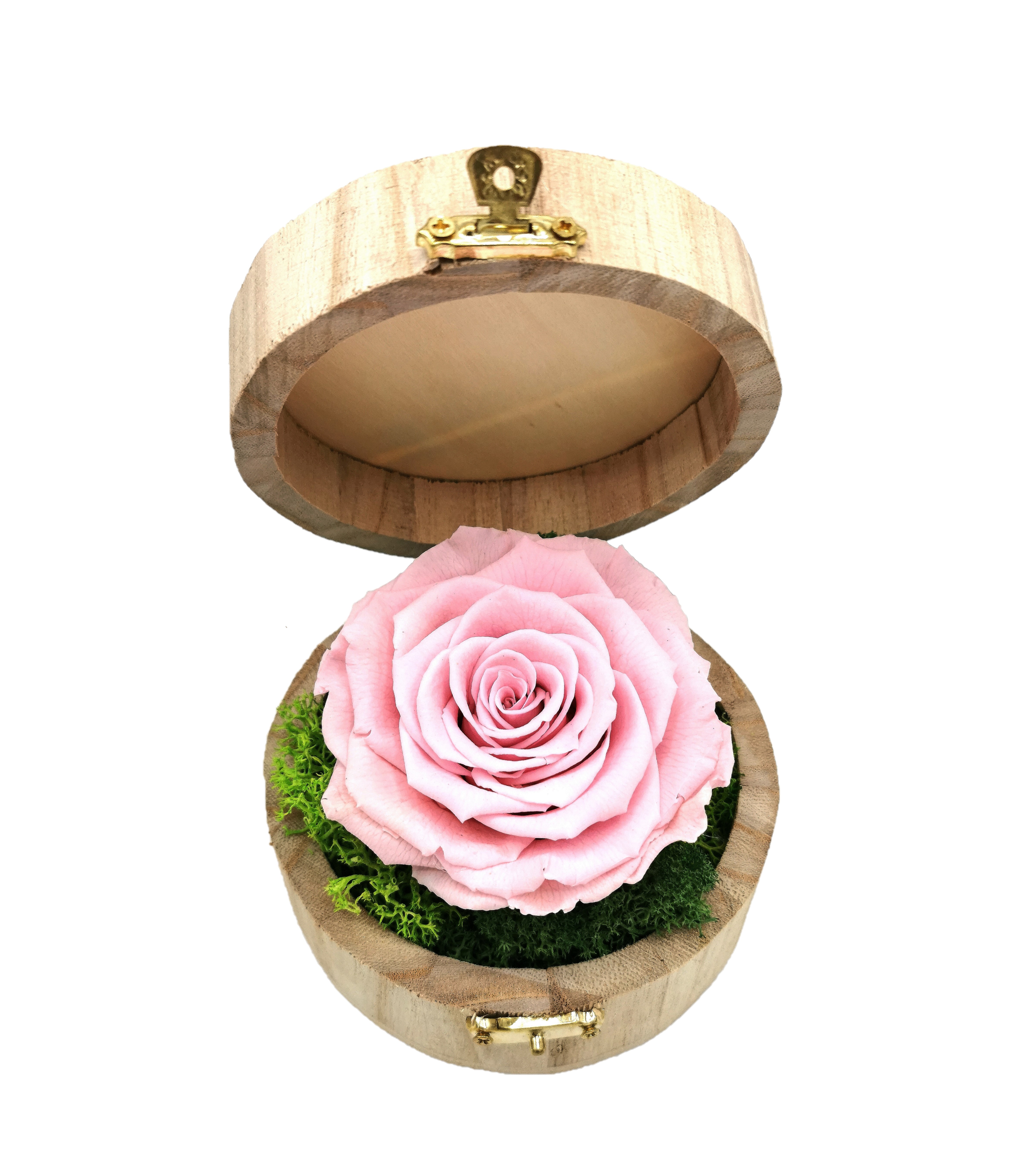 Trandafir criogenat Roz in cutie rotunda 