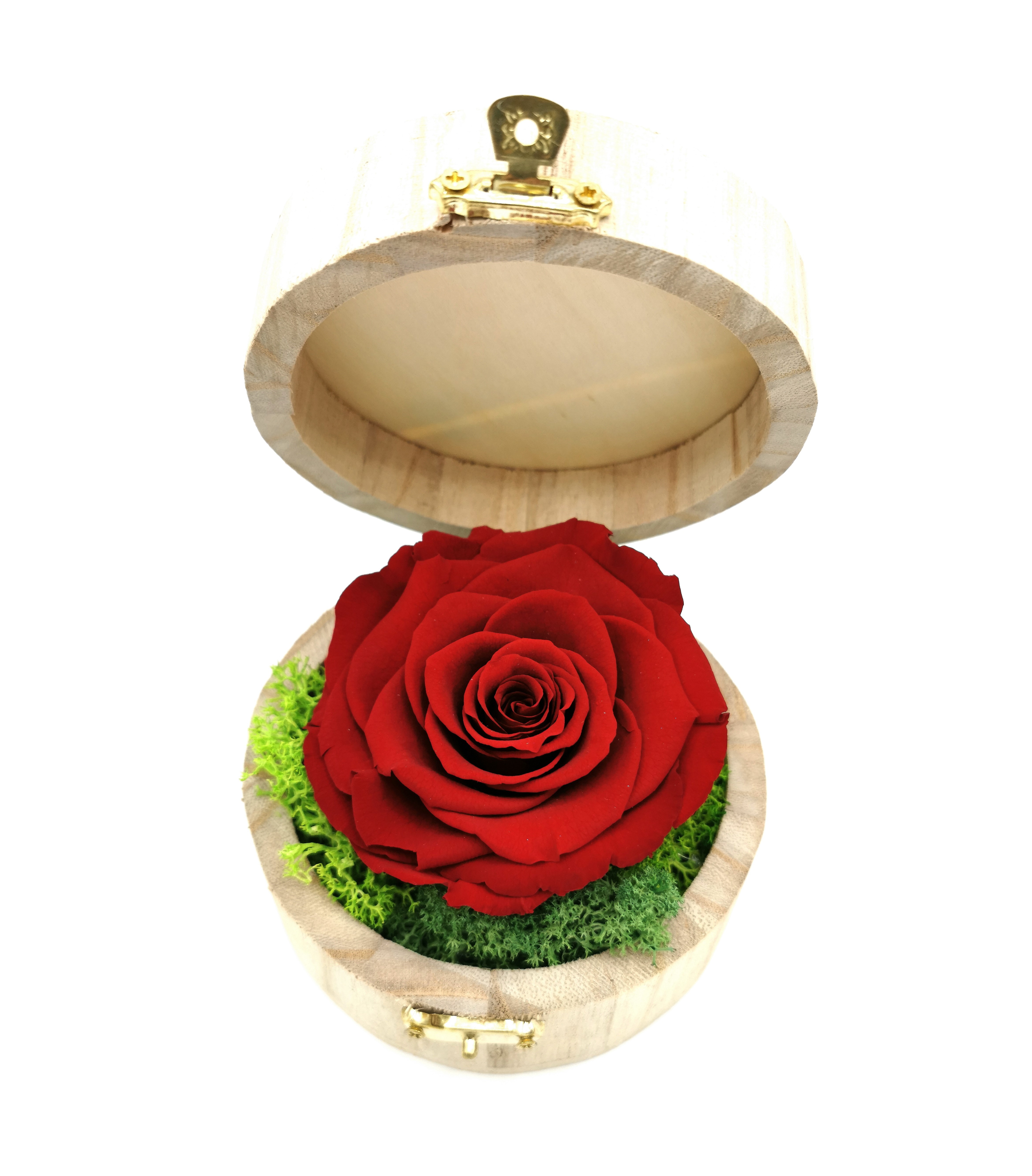 Trandafir criogenat Rosu in cutie rotunda