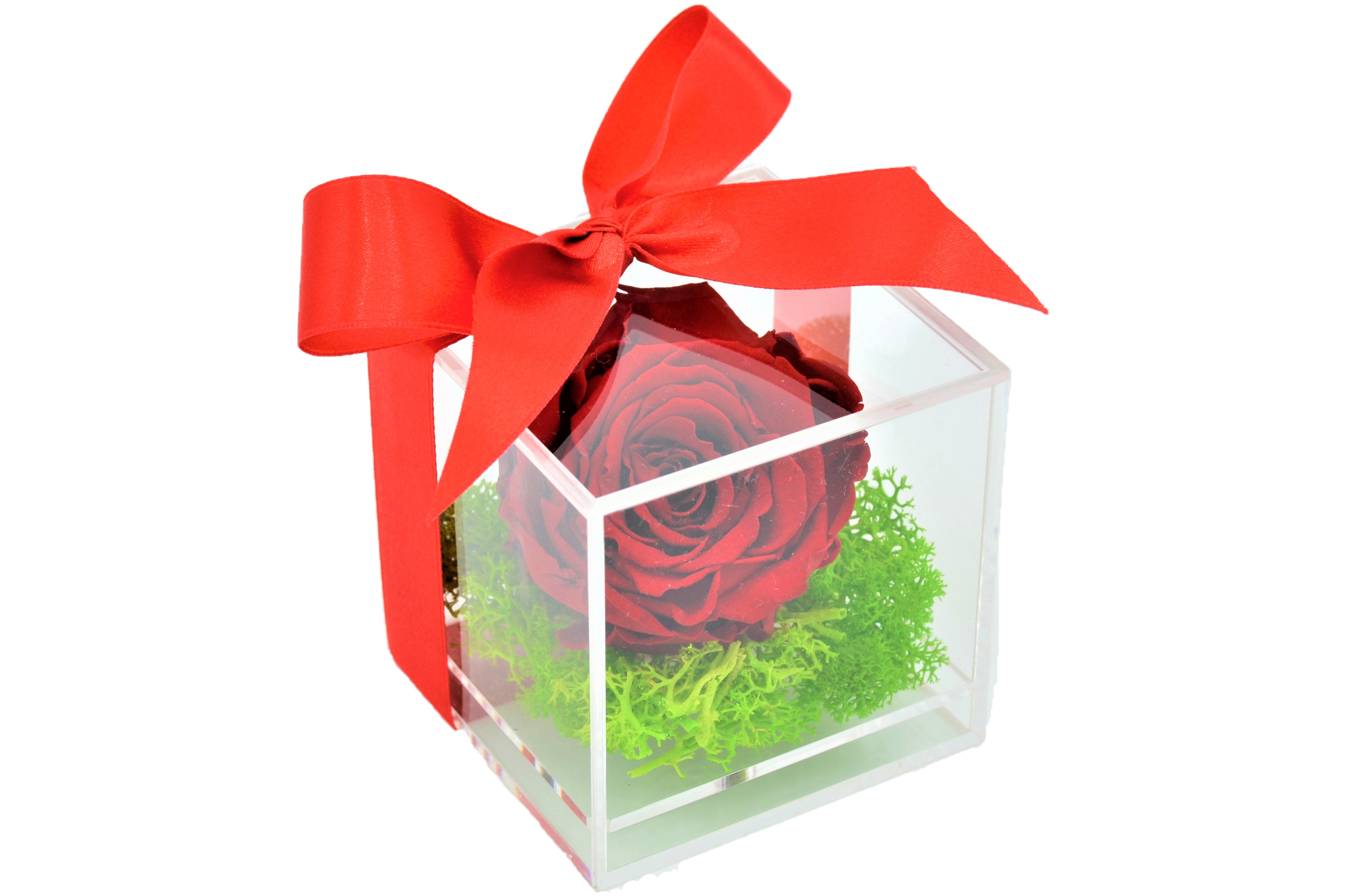 Trandafir criogenat Rosu in cutie acrilica