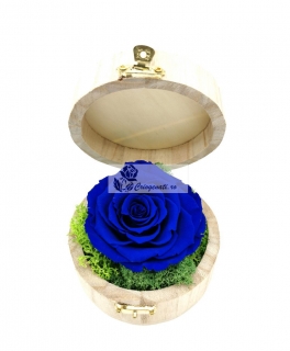 Trandafir criogenat Albastru in cutie rotunda 