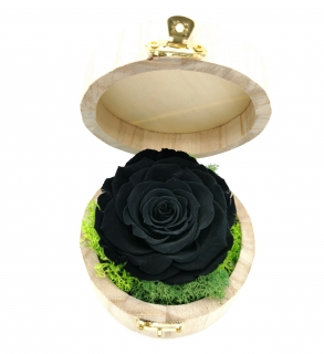 Trandafir criogenat Negru in cutie rotunda 